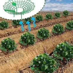 Krukker & Plantebeholdere^Plantestøtte til jordbær, grøntsager og andre planter - Jordbærholder 10-pak