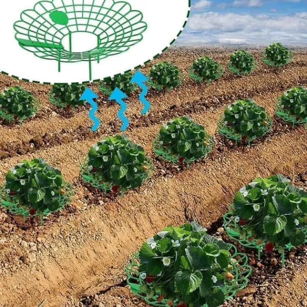 Krukker & Plantebeholdere^Plantestøtte til jordbær, grøntsager og andre planter - Jordbærholder 10-pak