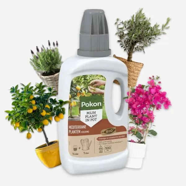 Gødningsmidler^Pokon - flydende plantegødning Middelhavsplanter - 500 ml
