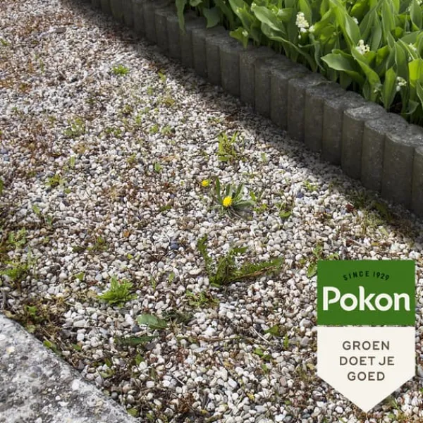 Best Pokon flydende ukrudtskoncentrat - 225ml Ukrudtsmiddel