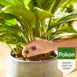 Hot Pokon madkogler stueplanter - 10 stk Gødningsmidler