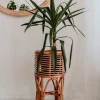 Krukkeplanter Indendørs^POLLIE S KARAMEL BLOMSTER BED