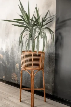 Krukkeplanter Indendørs^POLLIE S KARAMEL BLOMSTER BED