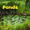 Springvand & Damme^Ponds