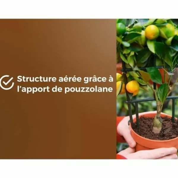 Jord & Sand^Potting compost OR BRUN 6 L Citrus