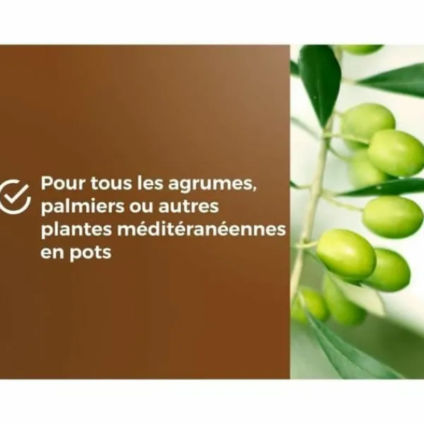 Jord & Sand^Potting compost OR BRUN 6 L Citrus
