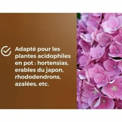 New Potting compost OR BRUN 6 L Jord & Sand