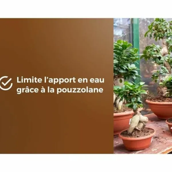 Jord & Sand^Potting compost OR BRUN BROWN GOLD 6 L