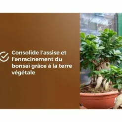 Jord & Sand^Potting compost OR BRUN BROWN GOLD 6 L