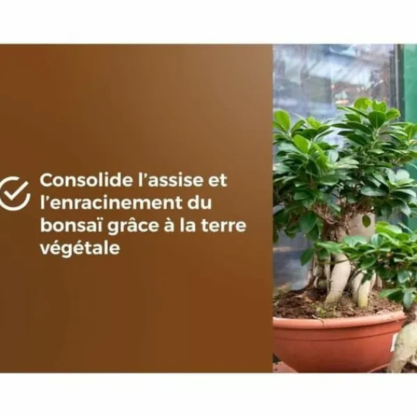 Jord & Sand^Potting compost OR BRUN BROWN GOLD 6 L