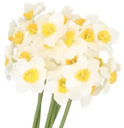 Nyplukkede Blomster^PÅSKELILLEBUKET PÅSKELILLE 41 CM 6 GRENE KUNSTIGE BLOMSTER
