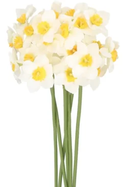 Nyplukkede Blomster^PÅSKELILLEBUKET PÅSKELILLE 41 CM 6 GRENE KUNSTIGE BLOMSTER