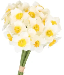 Nyplukkede Blomster^PÅSKELILLEBUKET PÅSKELILLE 41 CM 6 GRENE KUNSTIGE BLOMSTER