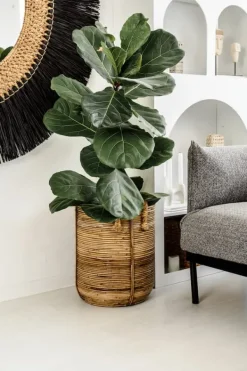 Krukkeplanter Indendørs^RATTAN KURV AZURE S