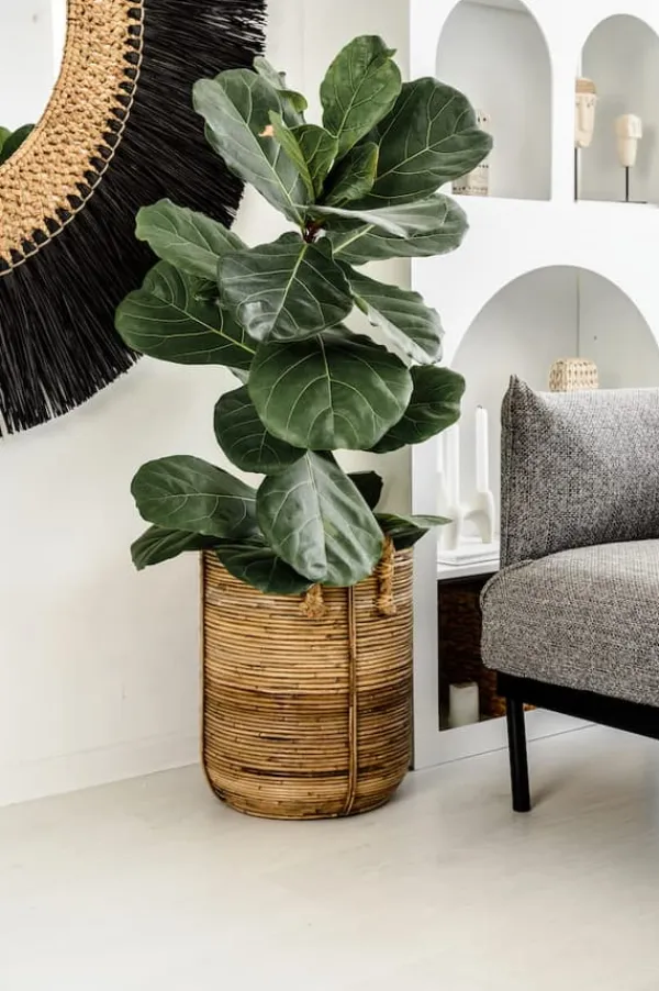 Krukkeplanter Indendørs^RATTAN KURV AZURE S