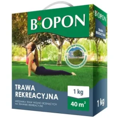 Online REKREATIONSGRÆS 1 KG - BR BIO-1112 Jord & Sand