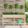 Plantningsbænke^Rektangulær havekasse med espalier og hylde - Holdbart fyrretræ | Farve: Beige | Størrelse: 161x46x152.5 cm