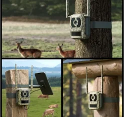 Sikkerhedsmonitorer & Videokameraer^Reolink, 4K 4G Cellular Trail Camera med Live Streaming, Talon Series S130