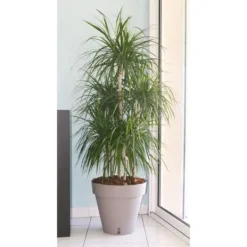 Clearance RIVIERA Loft urtepotte med vandreserve - Rund - Ø 50 x H 46 cm - Taupe Krukkeplanter Indendørs