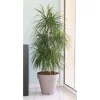 Krukkeplanter Indendørs^RIVIERA Loft Urtepotte med Vandreservoir - Rund - Ø 50 x H 46 cm - Taupe