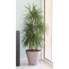 Krukkeplanter Indendørs^RIVIERA Loftblomkruka med vattenreserv - Rund - Ø 50 x H 46 cm - Taupe