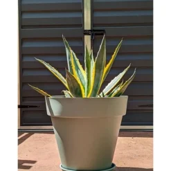 Krukkeplanter Indendørs^RIVIERA SOLEILLA rund blomsterkasse - Plastik - Diameter 50 cm - Lergrøn