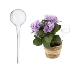 Best Robust vandkandesæt med 2 glas Vanding