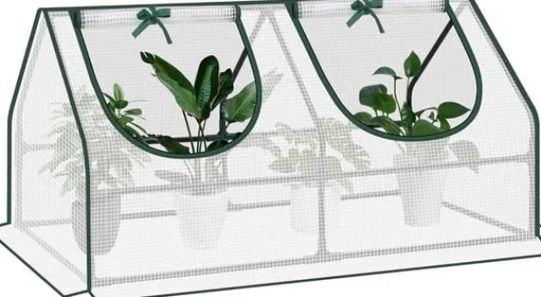 Clearance Rootz Folie Drivhus - Have Shelter - Mini Plant House - Stålramme - Vandtæt film - 120cm x 60cm x 60cm Drivhus