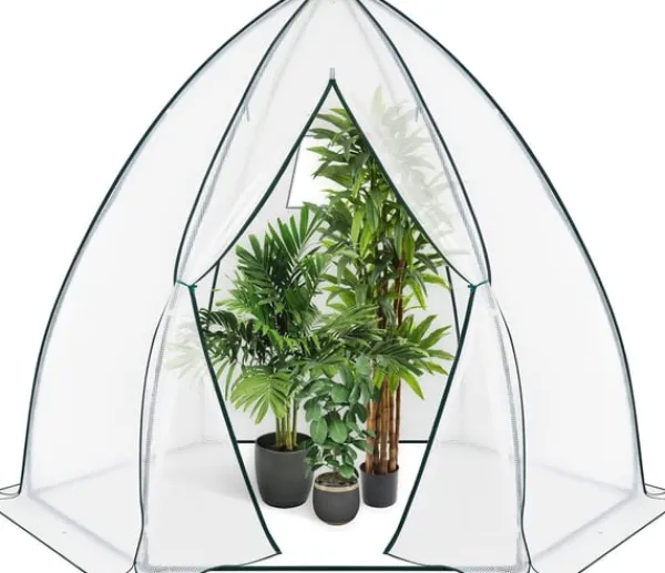 Online Rootz konisk drivhus - Havedrivhus - Plantehus - Vejrbestandig, holdbar struktur, Optimal ventilation - 240cm x 200cm x 240cm / 160cm x 180cm x 160cm | CDON Drivhus
