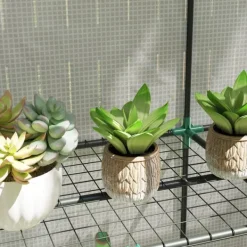 New Rootz Mini -Greenhouse - Plant Shelter - Bærbart drivhus - UV -resistent - 144 x 48 x 152 cm - Perfekt til små haver Drivhus