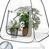 Drivhus^Rootz Pop -Up Greenhouse - Vinterbeskyttelsestelt - Mini Transparent Dubernation - Easy Setup - Understøtter plantevækst - 70x70x80 cm