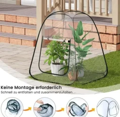 Drivhus^Rootz Pop -Up Greenhouse - Vinterbeskyttelsestelt - Mini Transparent Dubernation - Easy Setup - Understøtter plantevækst - 70x70x80 cm