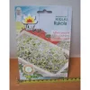 Online Rucolaspirer TF1473 Frø