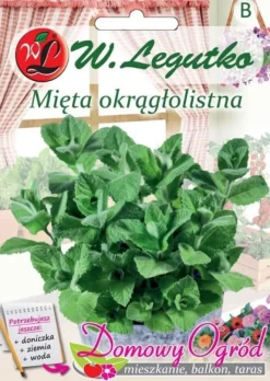 Frø^Rundbladede myntefrø, 0,1 g