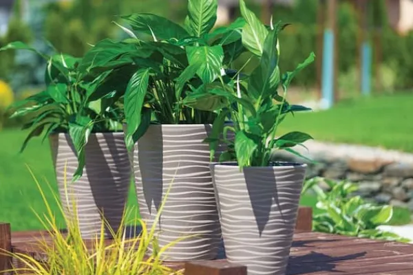 Krukker & Plantebeholdere^Sahara Dunes Slim 30 Rund Blomsterpotte | Hvid