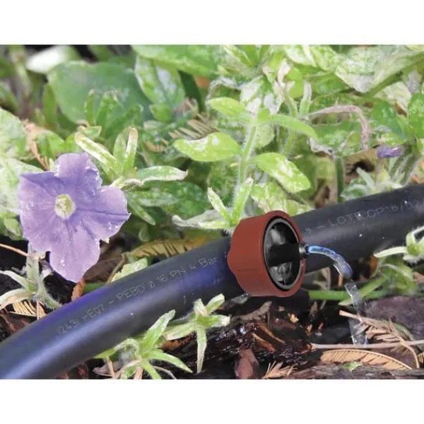 Discount Self-compensating dripper Aqua Control 906410 4 l/h Self-cleaning 10 Units Vanding