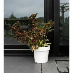 Sale Self-watering flowerpot Garden ID White Krukkeplanter Indendørs