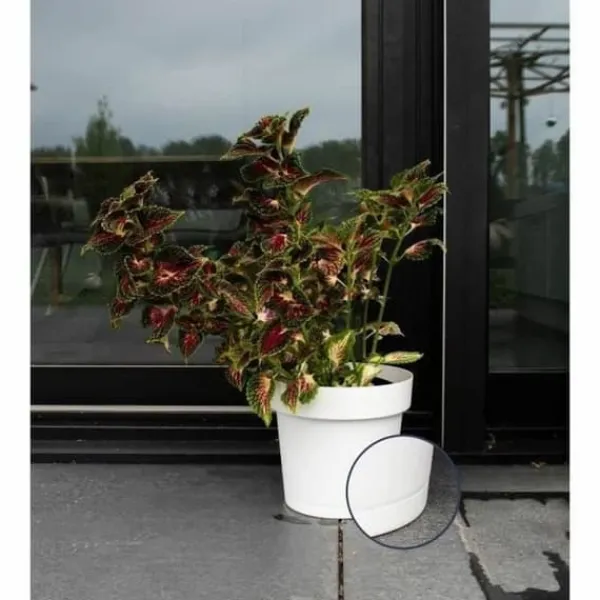 Sale Self-watering flowerpot Garden ID White Krukkeplanter Indendørs