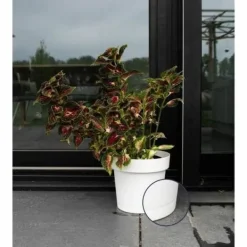 Online Selvvandende pot Garden ID Hvid Krukkeplanter Indendørs