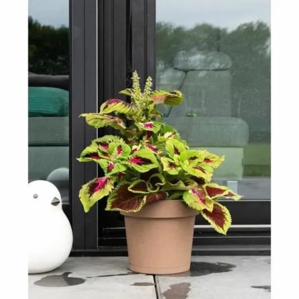 New Selvvandende pot Garden ID Taupe Krukker & Plantebeholdere