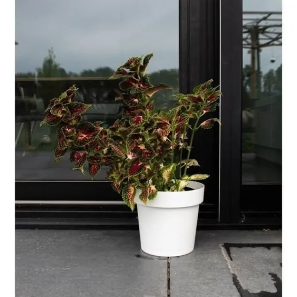 Krukkeplanter Indendørs^Selvvandende potte - GARDEN ID Glamour - Hvid 40 cm - Kornet overflade - Indendørs/udendørs - Elegant design.