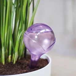 Discount Selvvandingskugle / Selvvandingspotte - Automatisk vanding til blomster og planter Vanding
