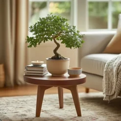Krukkeplanter Indendørs^S-formet bonsai - Zelkova serrata - Højde 20-25cm - ⌀15cm