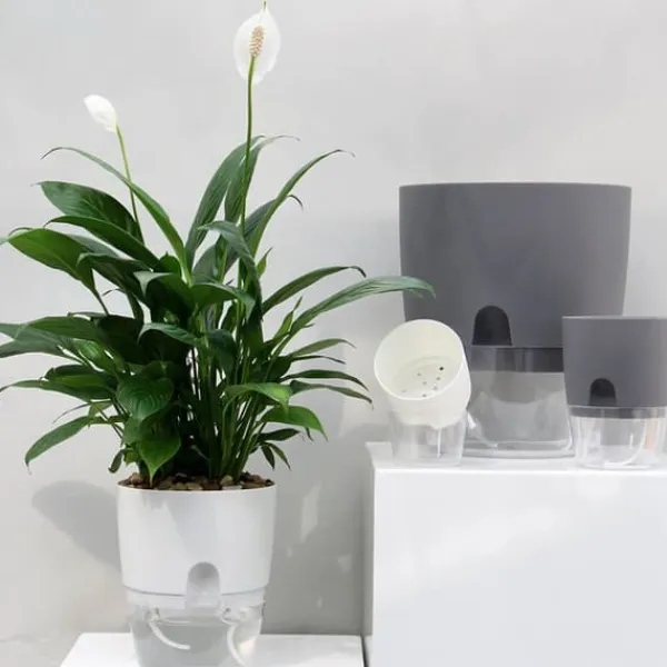 Krukker & Plantebeholdere^Självbevattningskruka Bomullsrep Plast Dekorativ planteringskruka för utomhusväxter inomhus Blommor Örter Vit 15,3 cm/6 tum Diameter