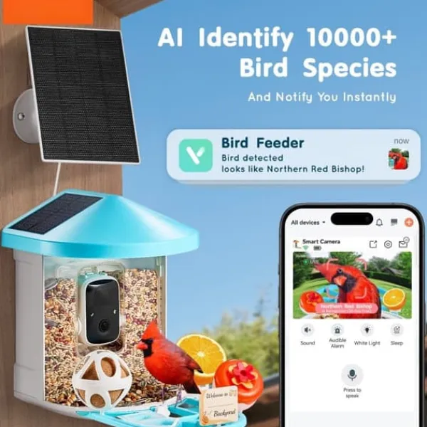 Til Fugle & Småvildt^Smart Fuglefoder med Kamera, AI Identifikation af 10.000+ Fuglearter, Soldrevet, Direkte Overvågning af Fugleliv.