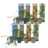 Smoothie frugtplanter mix - Sæt med 8 - Højde 25-40cm - ⌀9cm Kit Til Plante- & Urtedyrkning