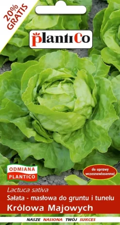 Frø^Smørhovedsalat MAY QUEEN 1,2 g. PlantiCo frø