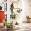 Clearance SoBuy Plantehylde Blomsterreol Stativ STR13-WN Krukker & Plantebeholdere