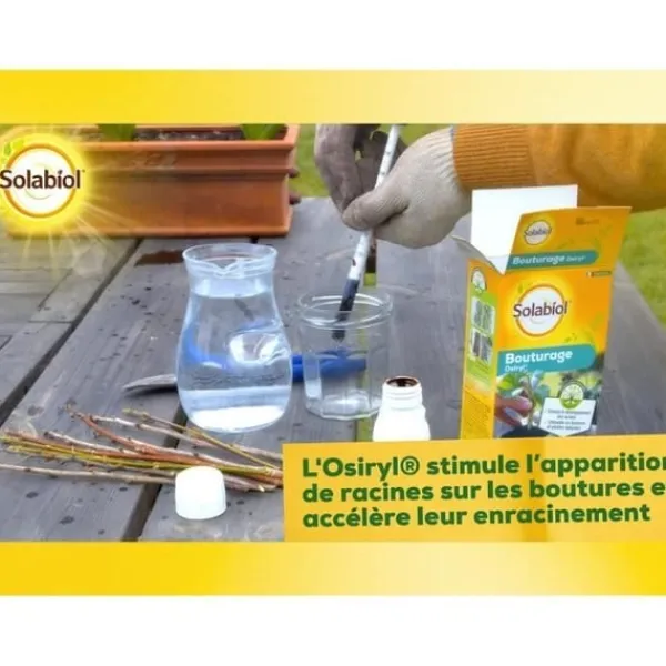 Gødningsmidler^SOLABIOL SOBOUTU40 Osiryl stiklinger 40 ml, rodstimulator