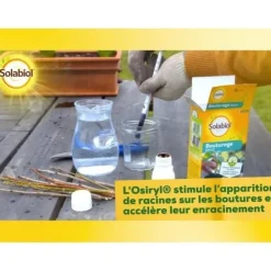 Sale SOLABIOL SOBOUTU40 Osirylskärning - 40 ml Gødningsmidler